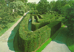 Think Labyrinth: Maze Glossary